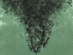 Mano de Piedra – Tales from the Burnt House