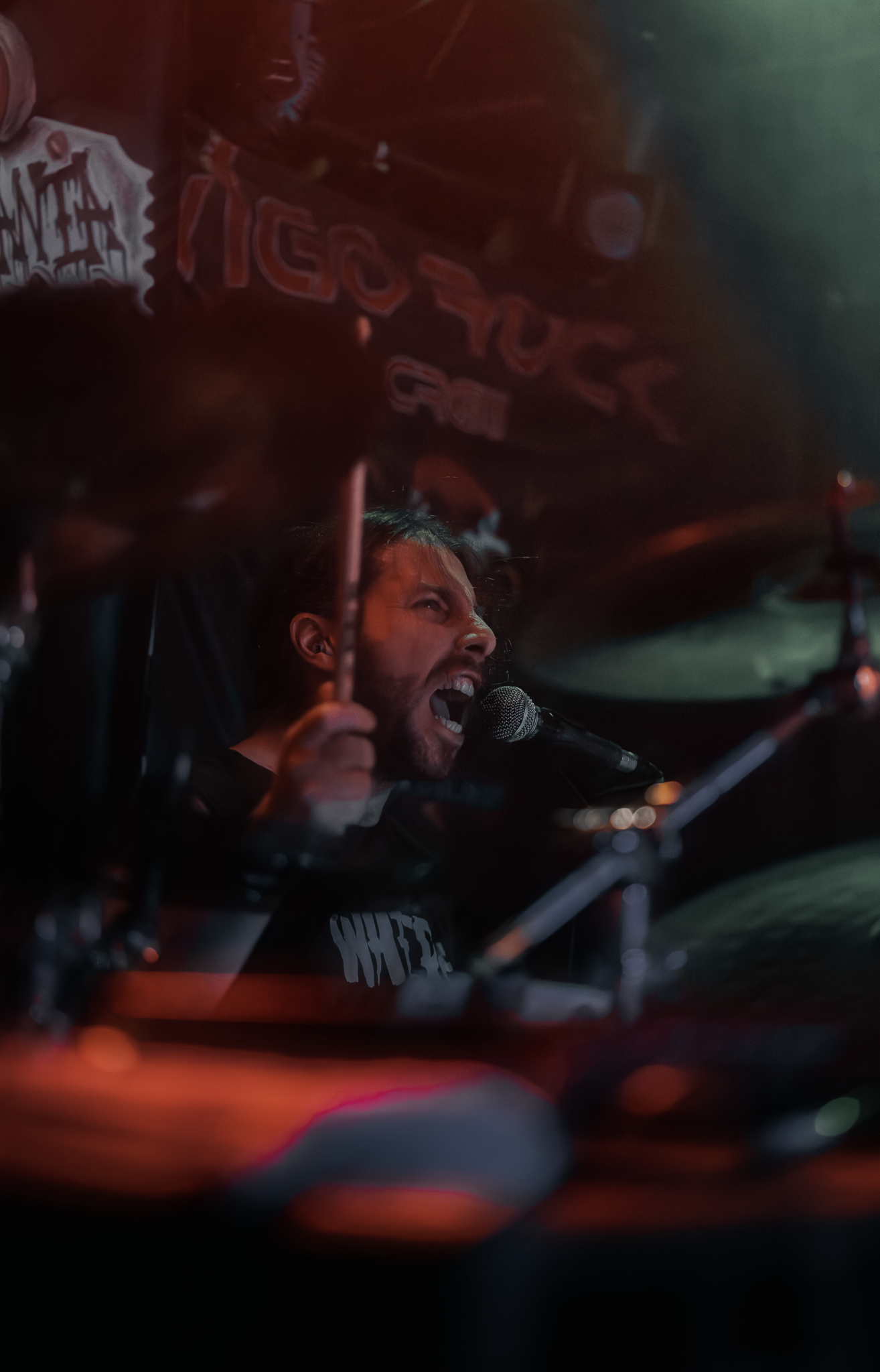 ELEFANTES_MUTILADOS_TRANSY0.png (1)