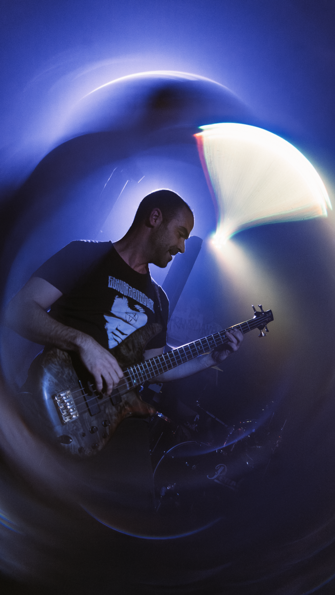 ELEFANTES_MUTILADOS_TRANSY1