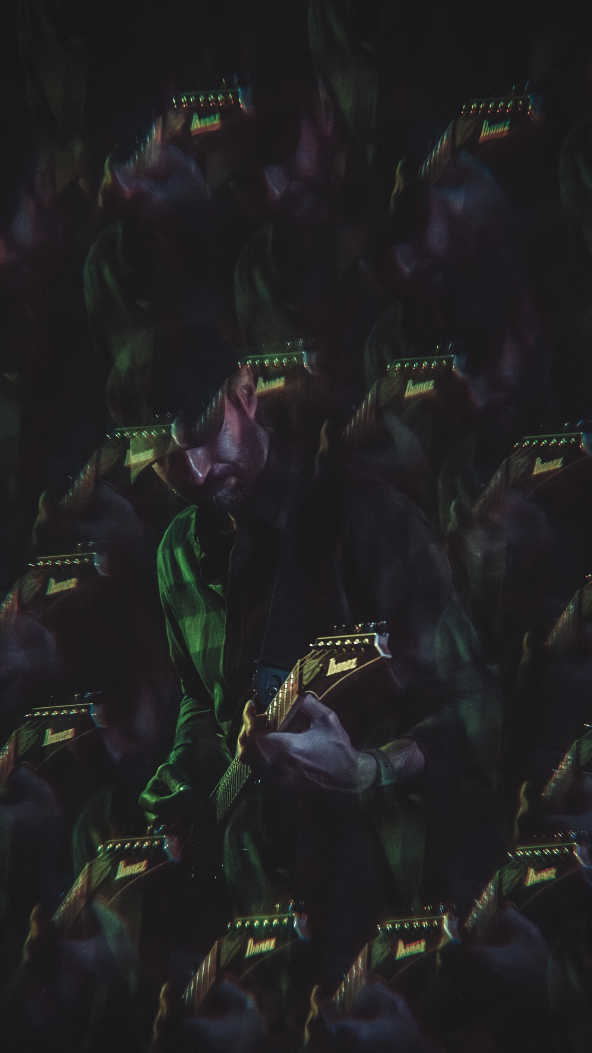 ELEFANTES_MUTILADOS_TRANSY2