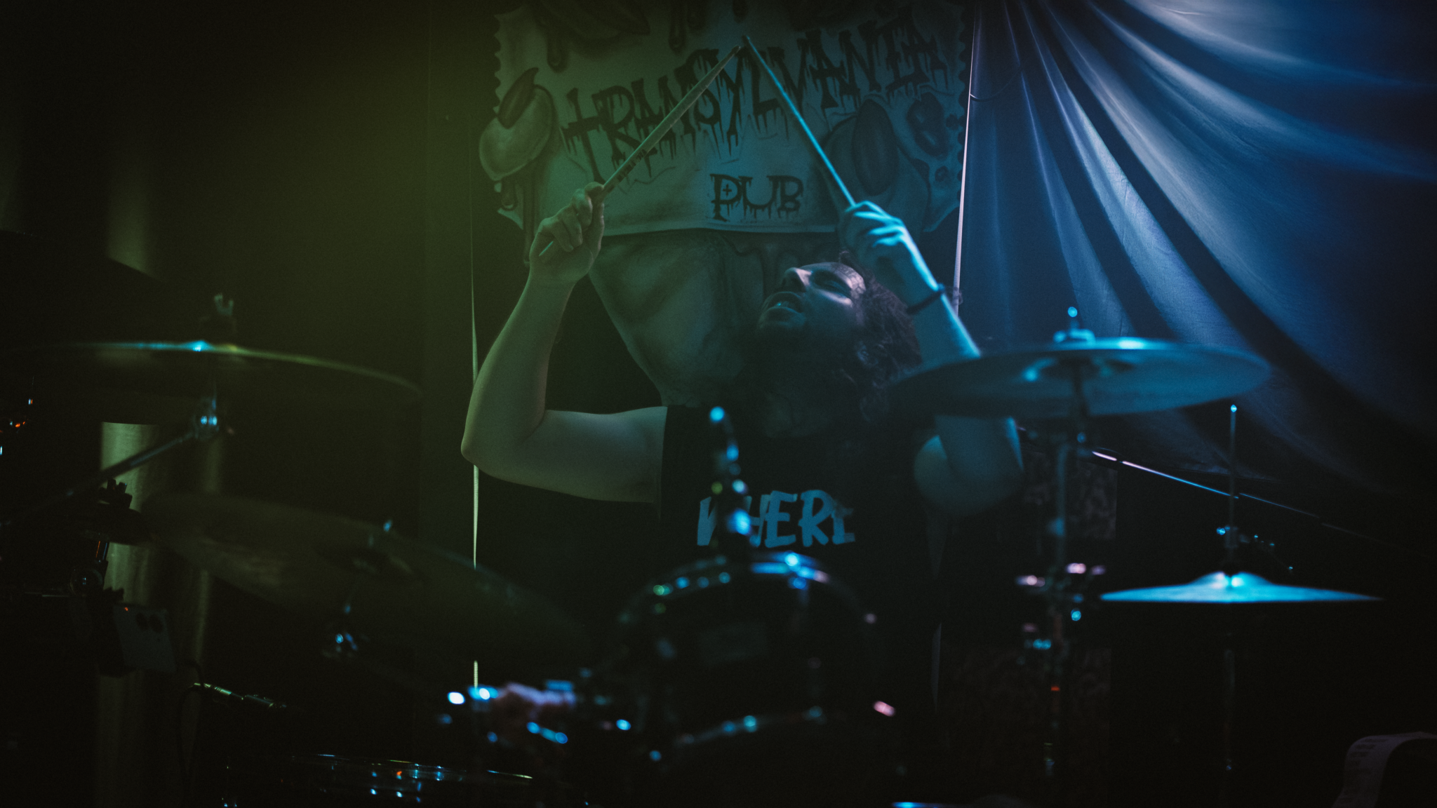 ELEFANTES_MUTILADOS_TRANSY3