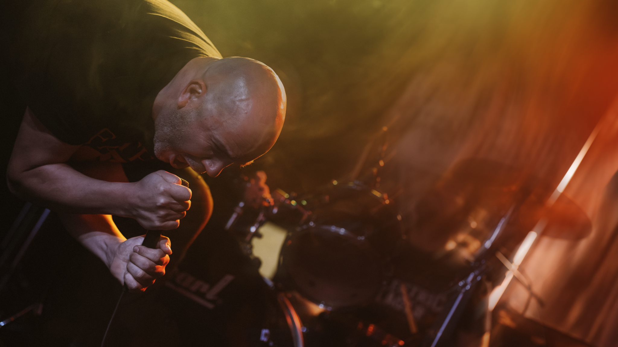 ELEFANTES_MUTILADOS_TRANSY4