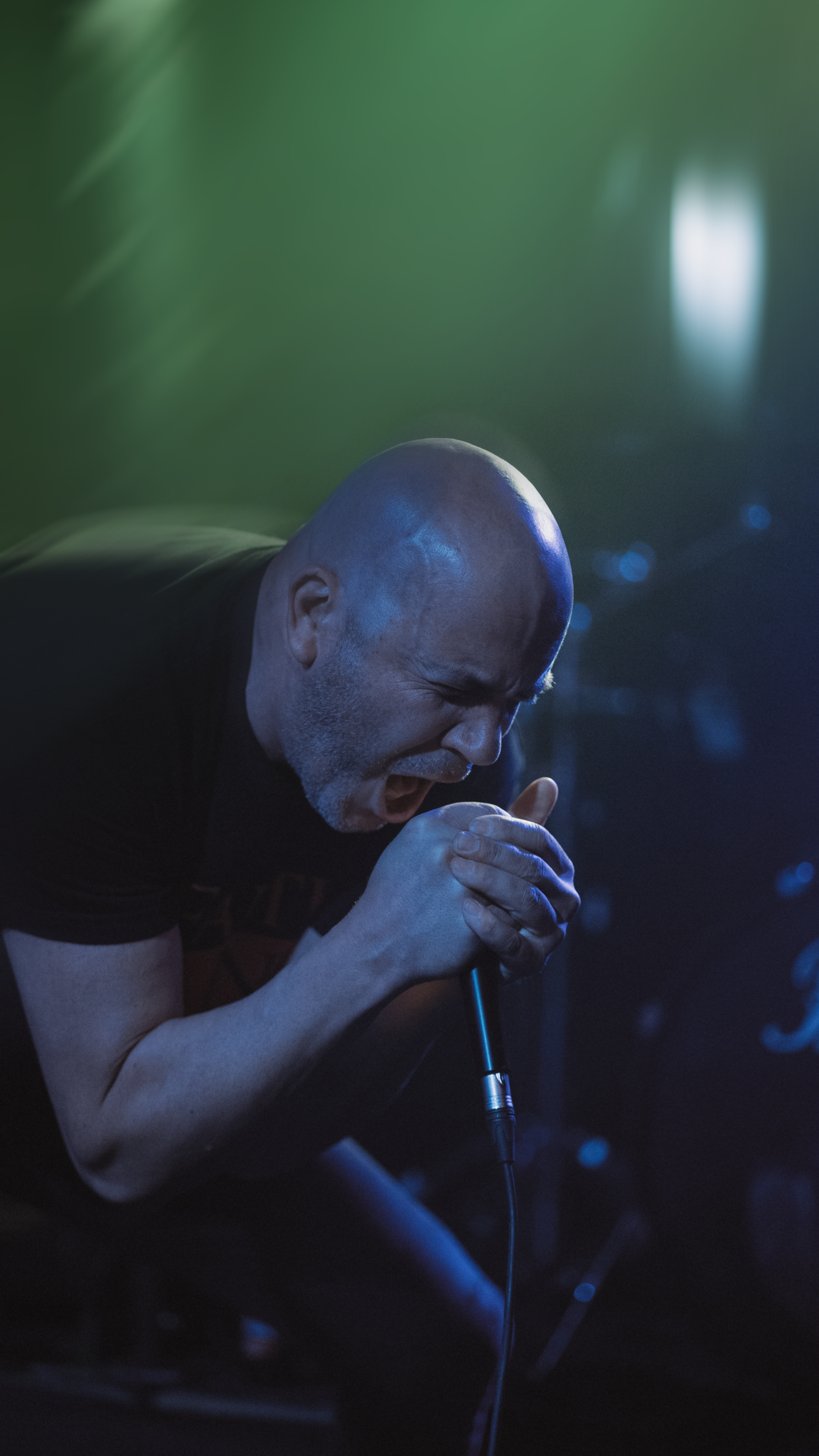 ELEFANTES_MUTILADOS_TRANSY5