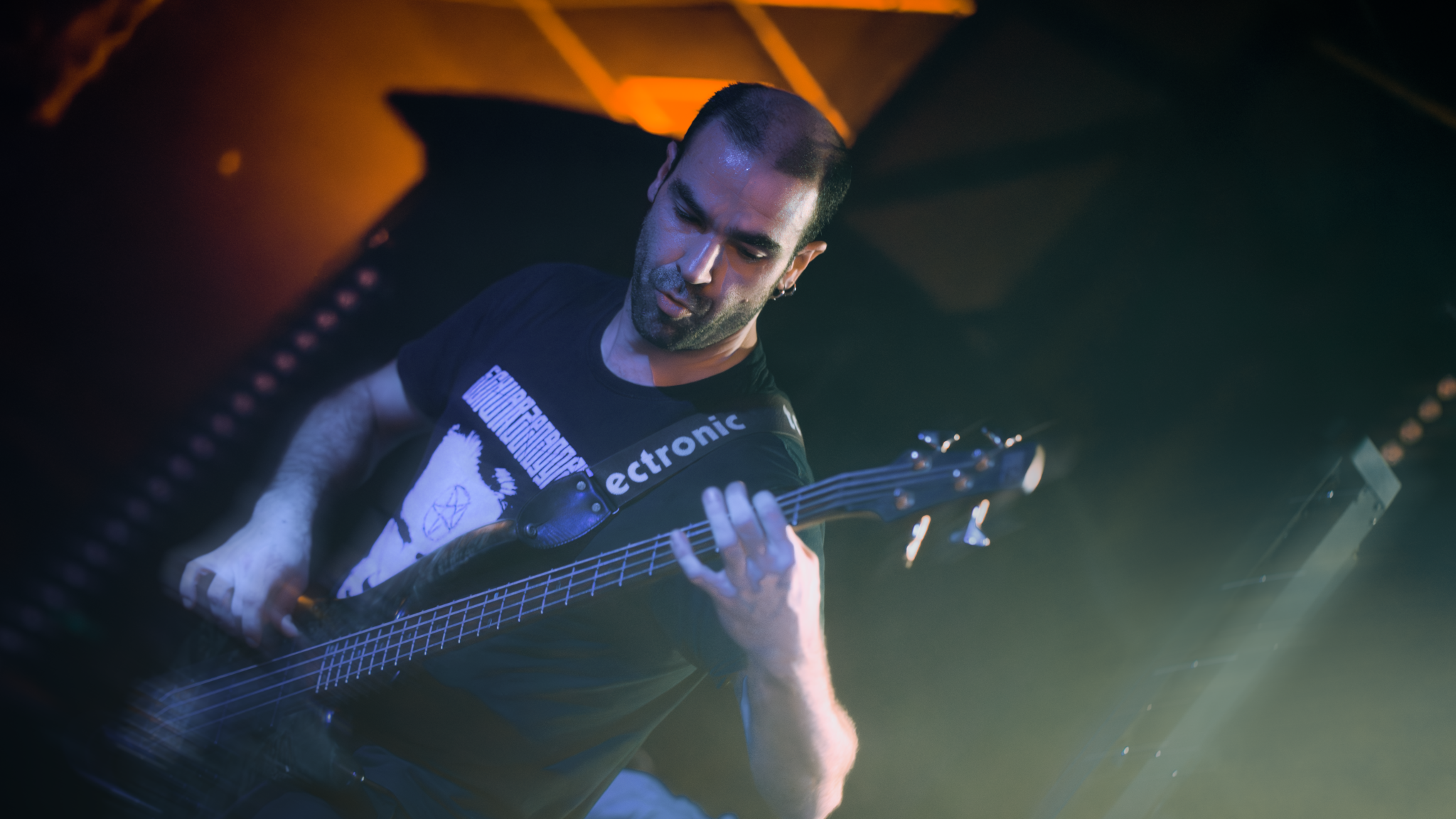 ELEFANTES_MUTILADOS_TRANSY7