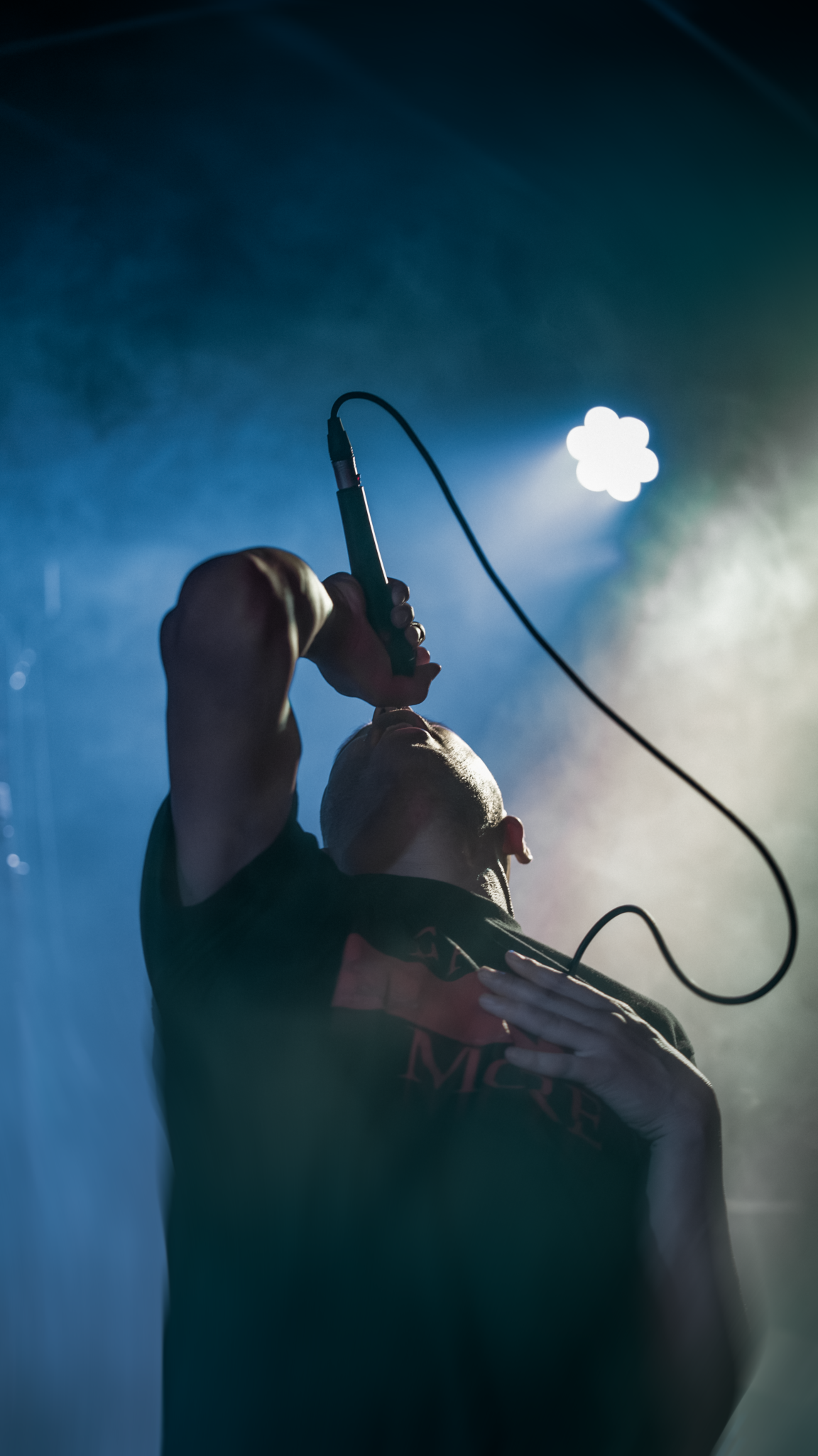 ELEFANTES_MUTILADOS_TRANSY8