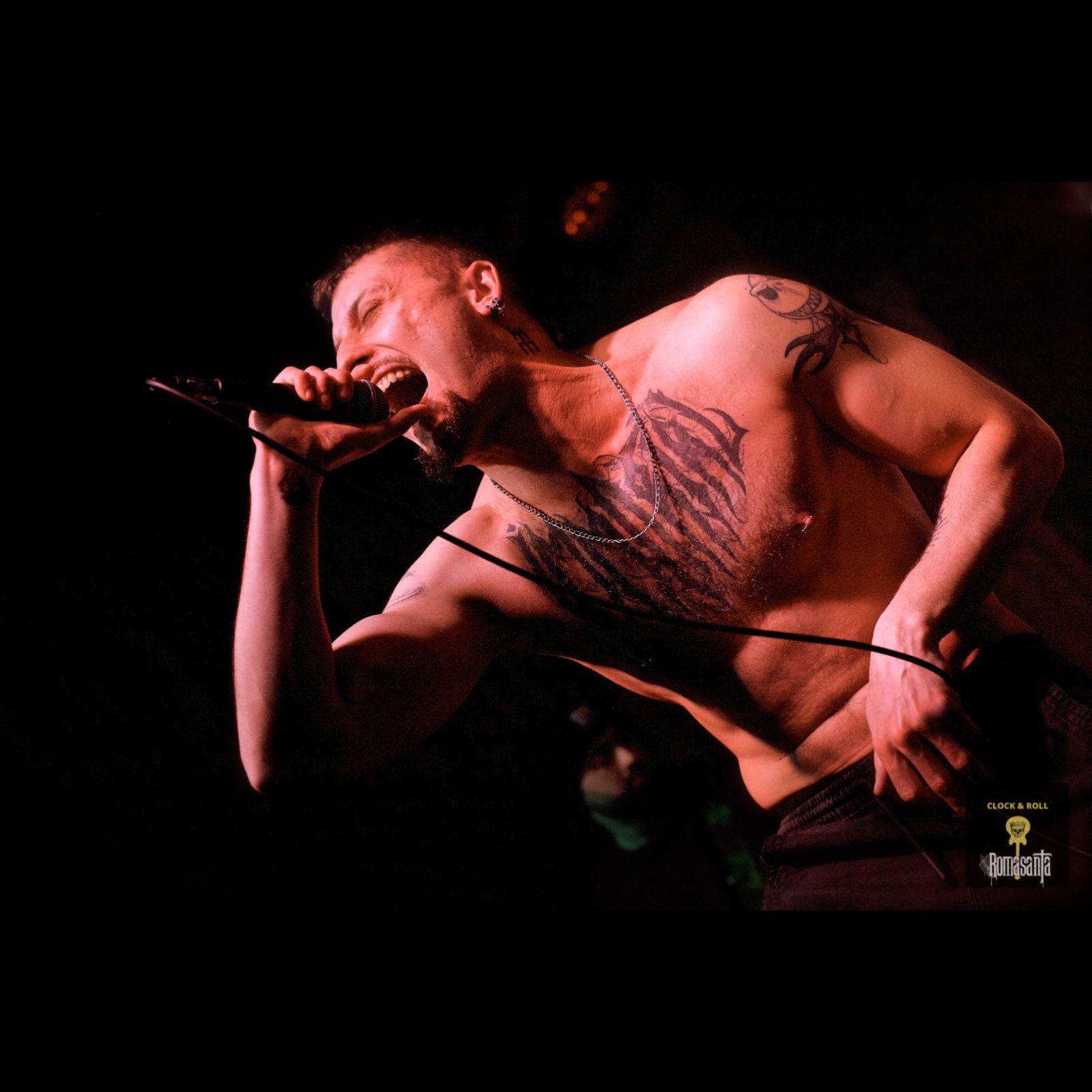 WhatsApp Image 2026-02-18 at 22.15.32 (1)