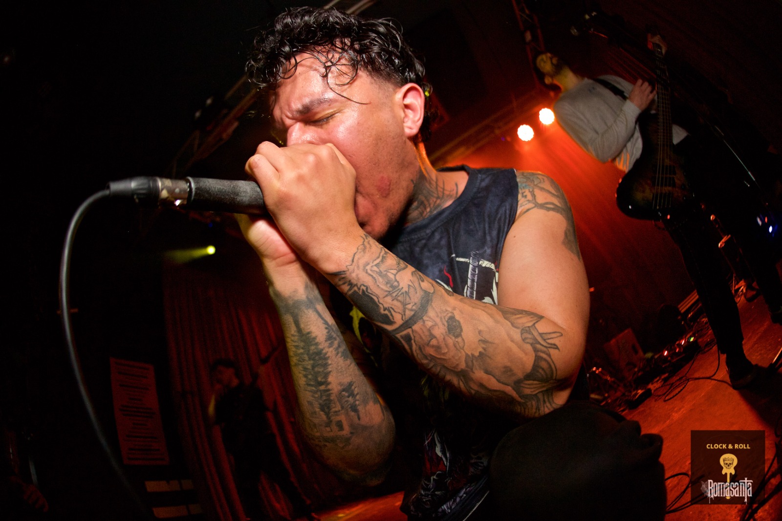 WhatsApp Image 2026-02-19 at 19.18.50