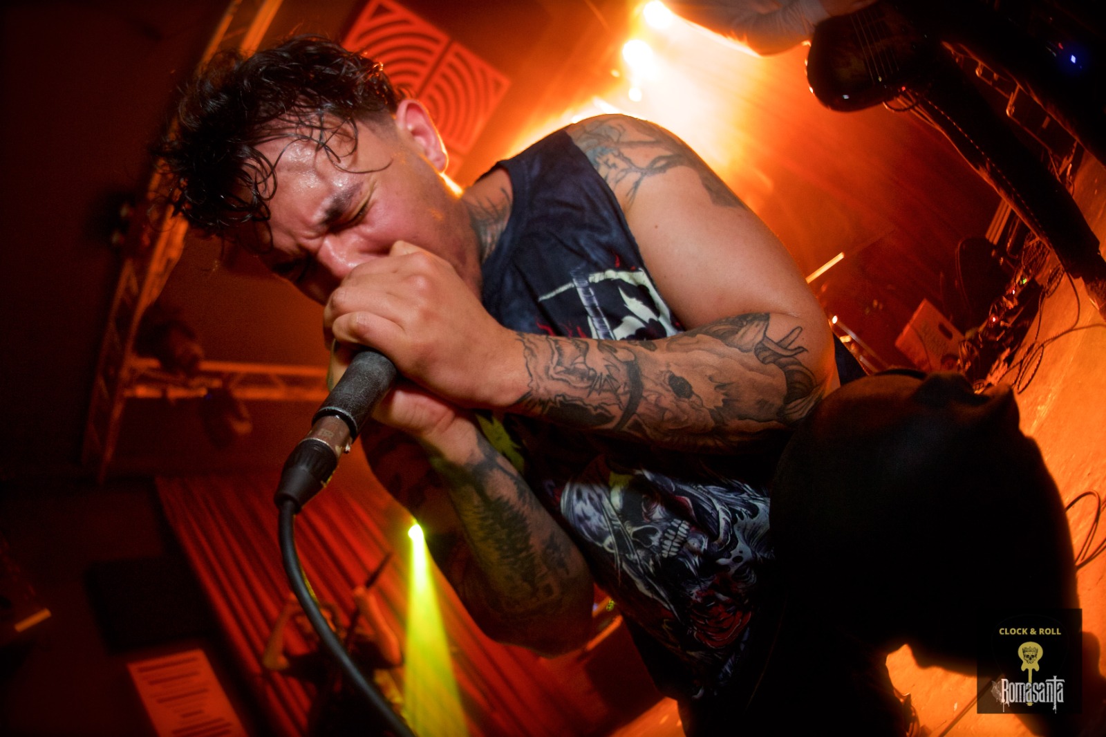 WhatsApp Image 2026-02-19 at 19.18.51